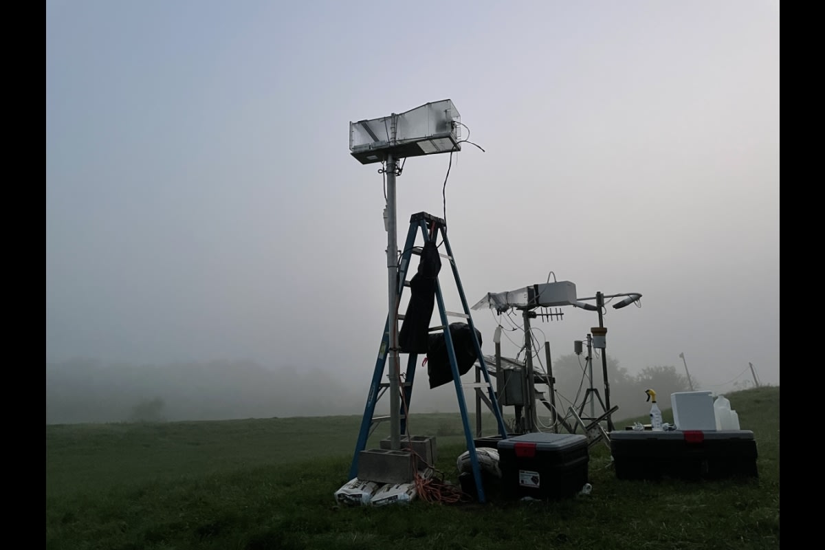 Fog Bacteria Clean Air by Eating Formaldehyde Toxins - Image 2
