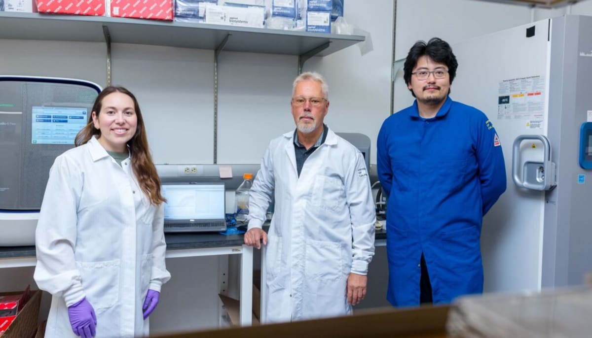 Berkeley Scientists Find Weight Loss Drug That Keeps Muscle - Image 2