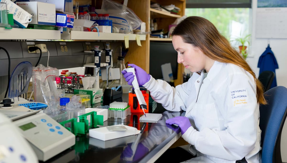 UC Berkeley graduate student Rachelle Stark working in Anders Näär's metabolic biology laboratory