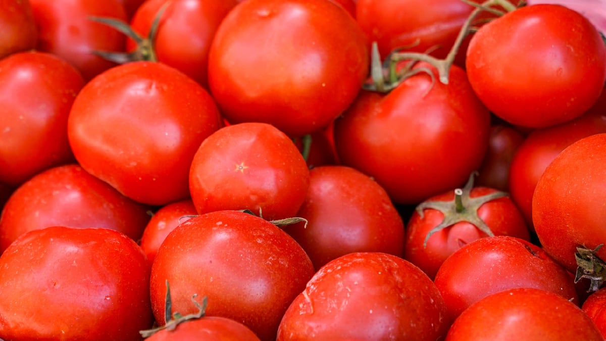 Desert Tech Turns Salty Soil Into Thriving Fruit Farms