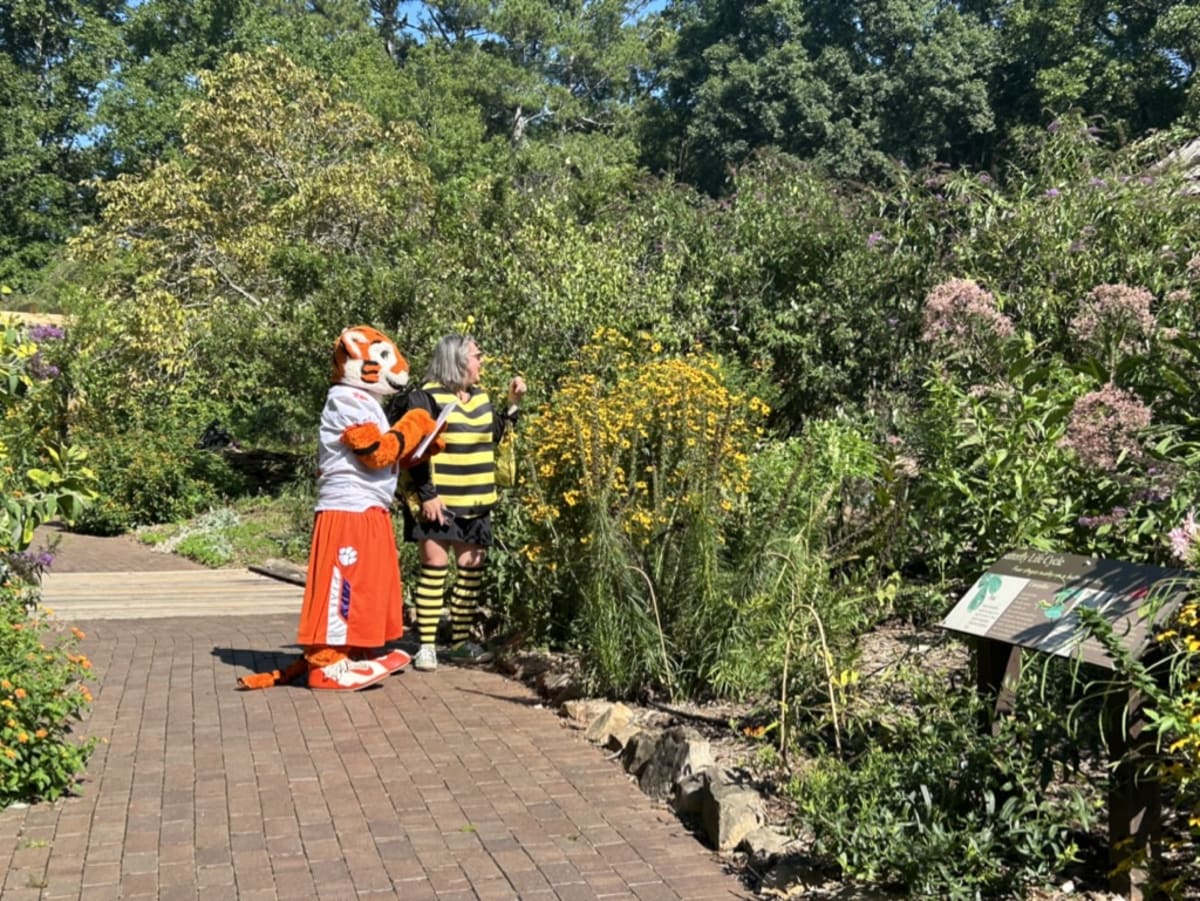 Volunteer observing and counting butterflies and bees in a colorful garden setting