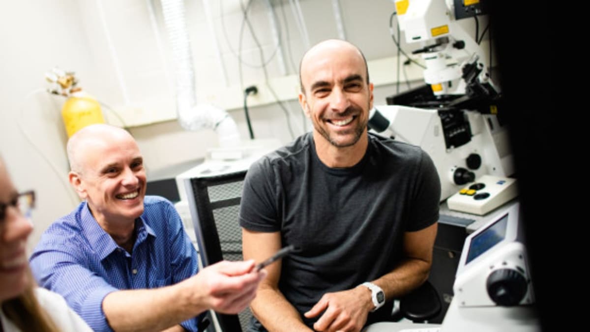 FDA Fast-Tracks Blood Test That Could Catch Missed Strokes