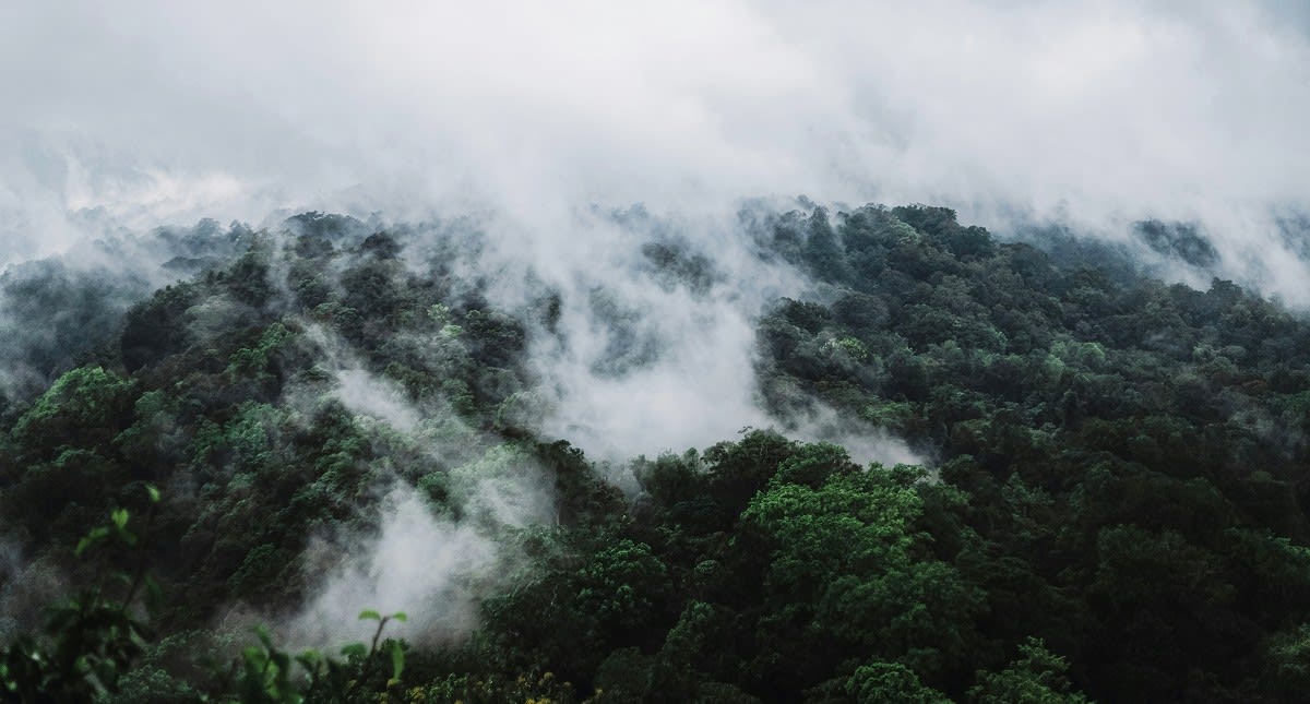51 Solutions Could Trigger Rapid Planet Repair by 2030