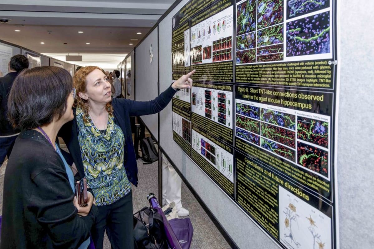 Northwestern's Alzheimer Day Brings Hope to 32nd Year - Image 4