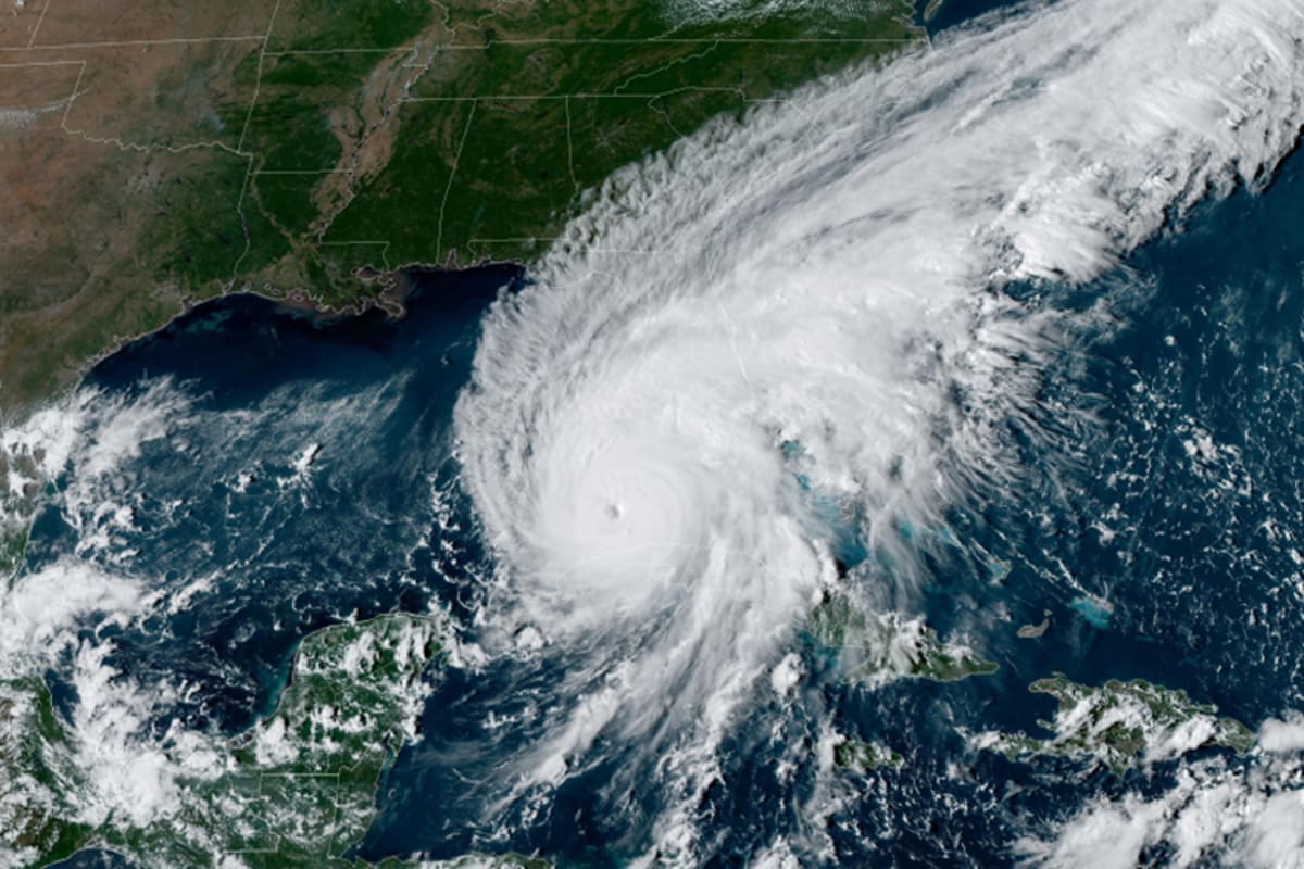 Scientists Map Hidden Mold Risks After Hurricane Flooding