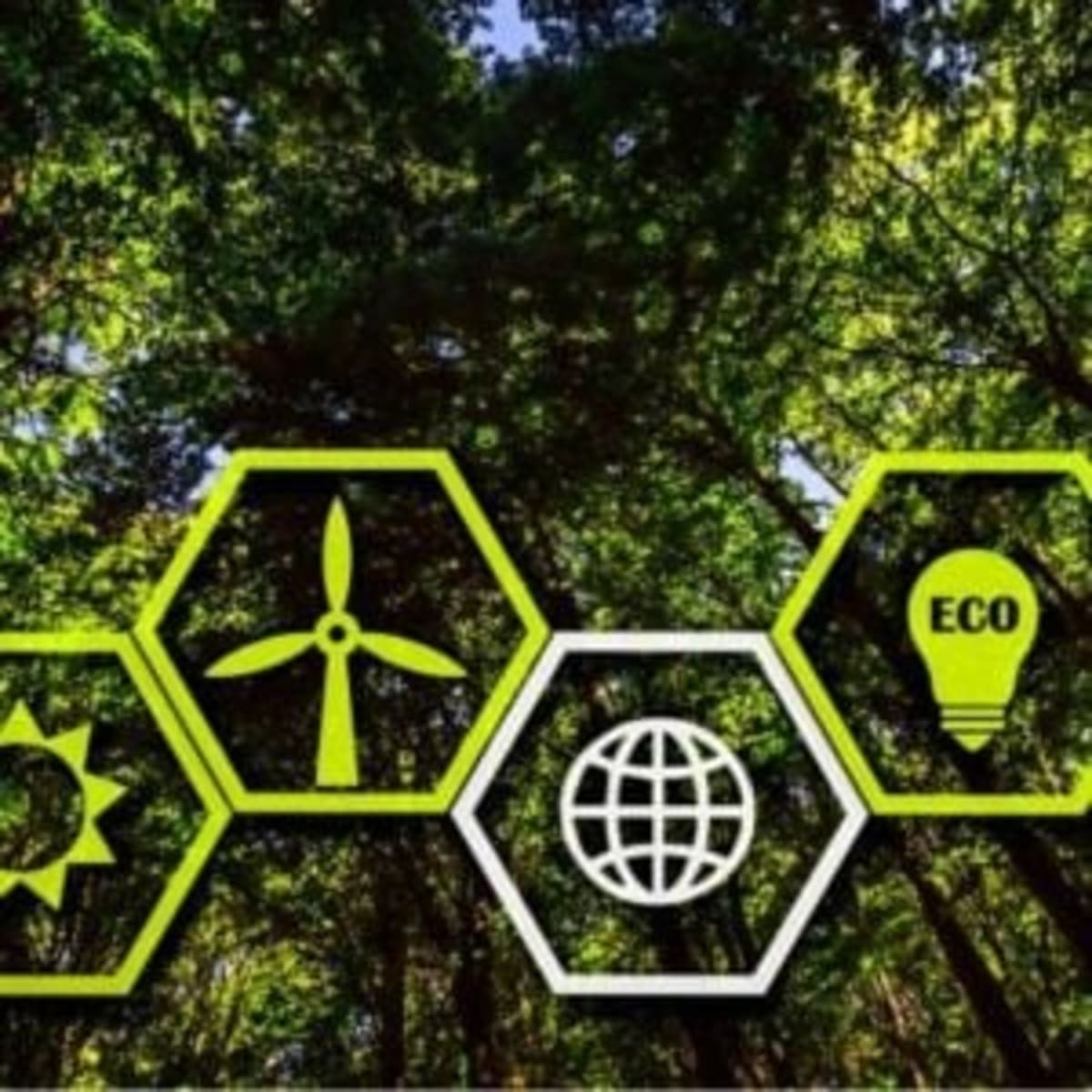 Norway and Vietnam Partner on Green Economy Transition - Image 2