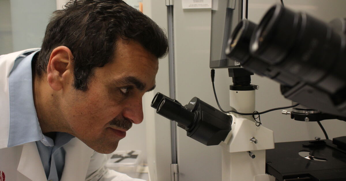 New CAR T Therapy Brings 80% Response Rate for Blood Cancer