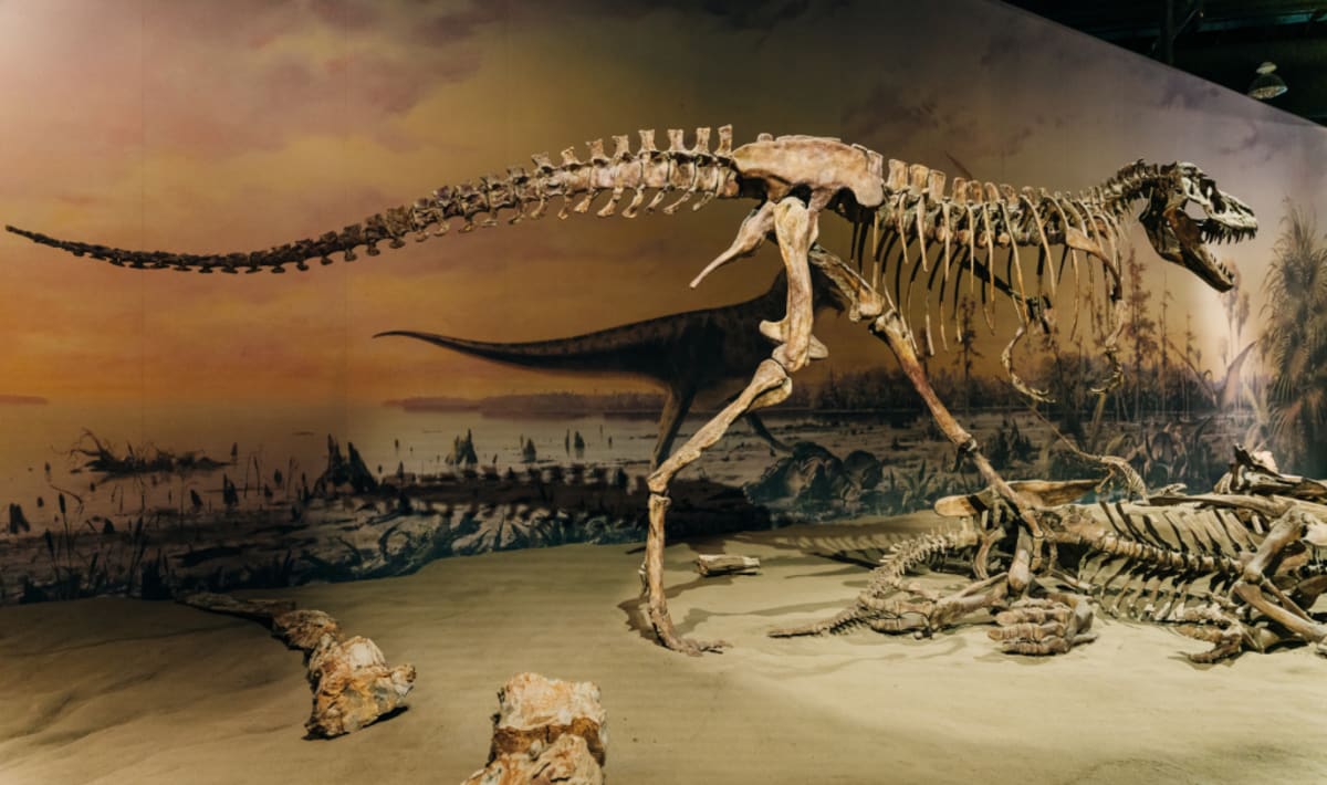 71M-Year-Old Dinosaur Bone May Improve Your Next Implant