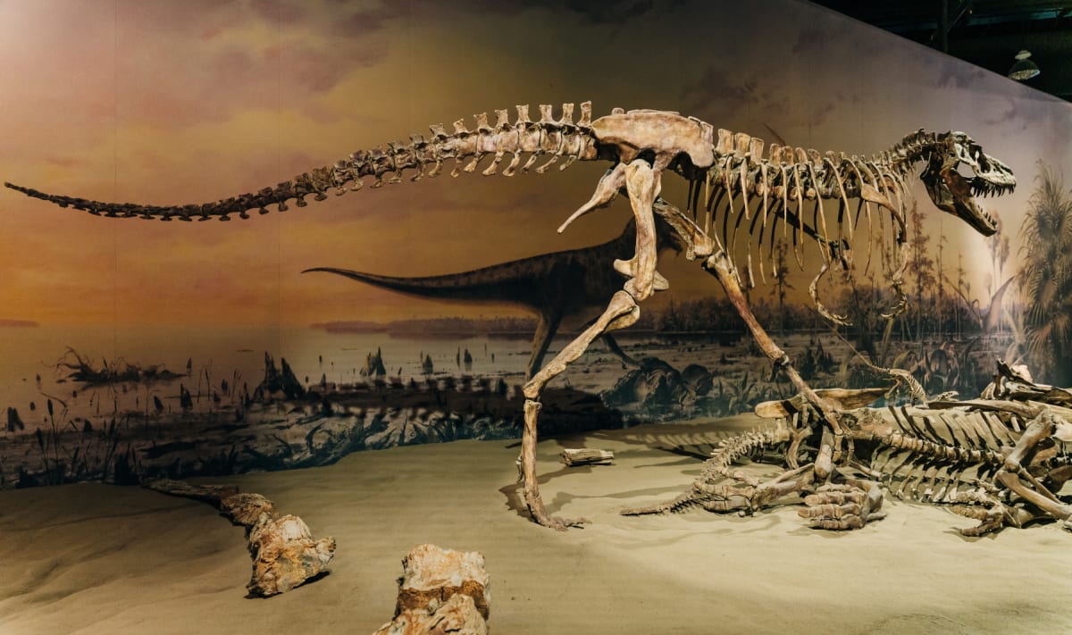71M-Year-Old Dinosaur Bone May Improve Your Next Implant - Image 2