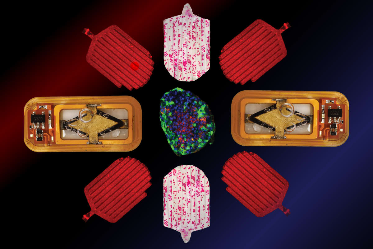 MIT Device Keeps Diabetes Cells Alive for 3 Months