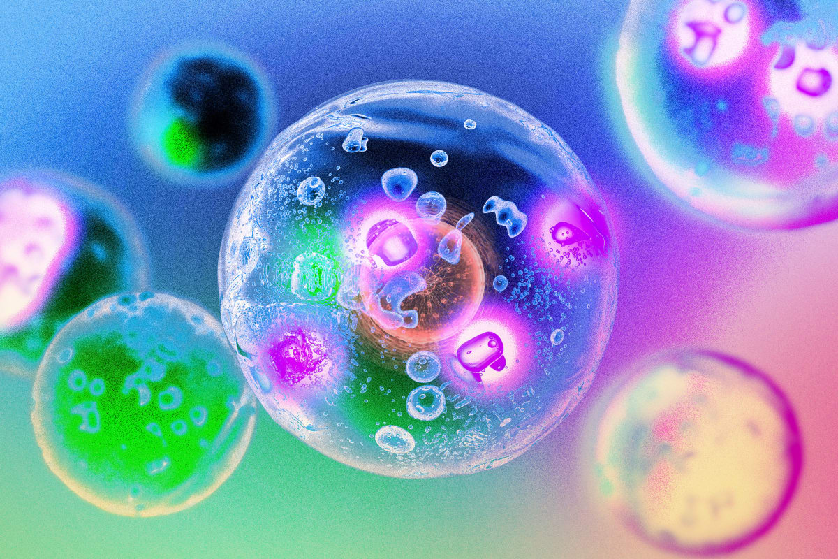 MIT Discovers How Cells Turbocharge Their Own Growth Signals
