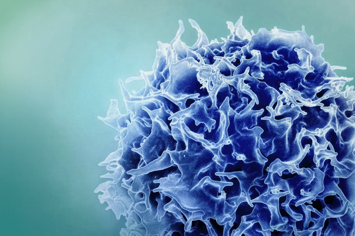 MIT Creates mRNA Cancer Vaccine That Erased Tumors in Mice