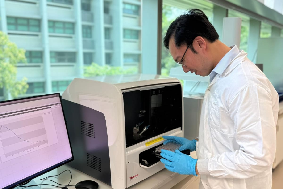 Researcher Mervin Ang using fluorescence spectrometer to measure gut health biomarkers with new nanosensor technology