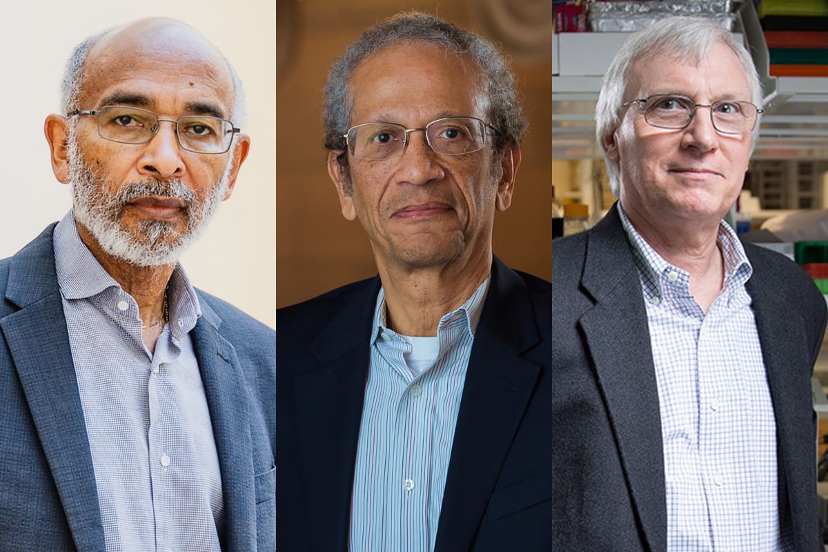 MIT Names 3 Professors to Highest Faculty Honor