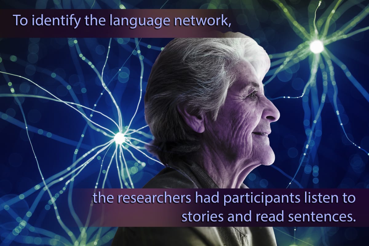 Side-by-side brain scans showing identical language network activity in young and older adults