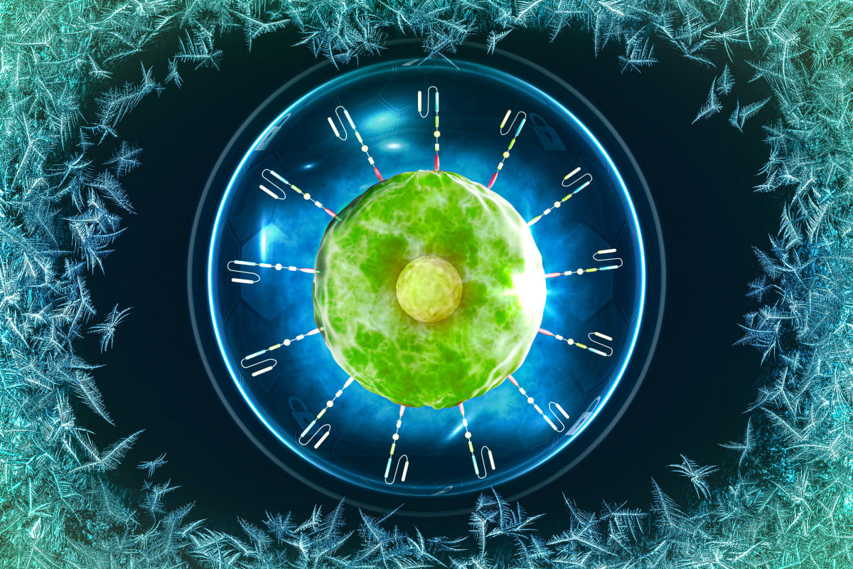 MIT Makes Life-Saving Cancer Treatment Easier to Access