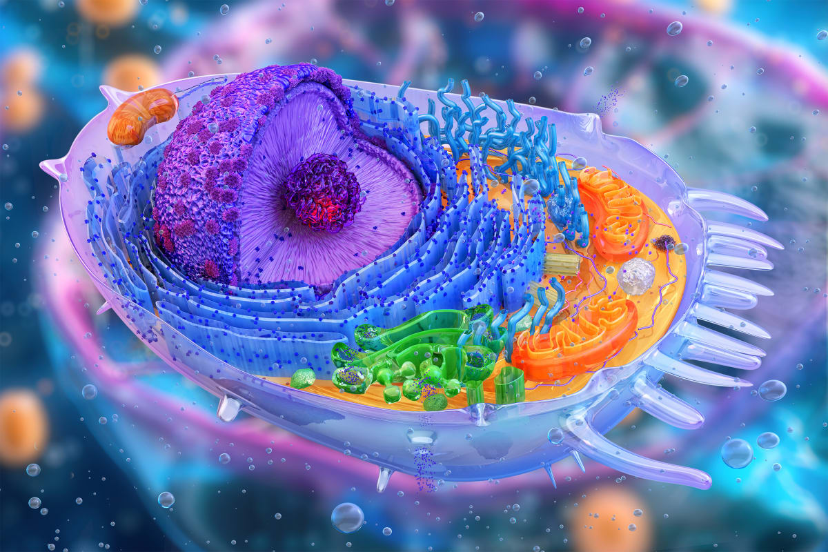MIT Creates AI Tool to Detect "Zombie Cells" in Aging