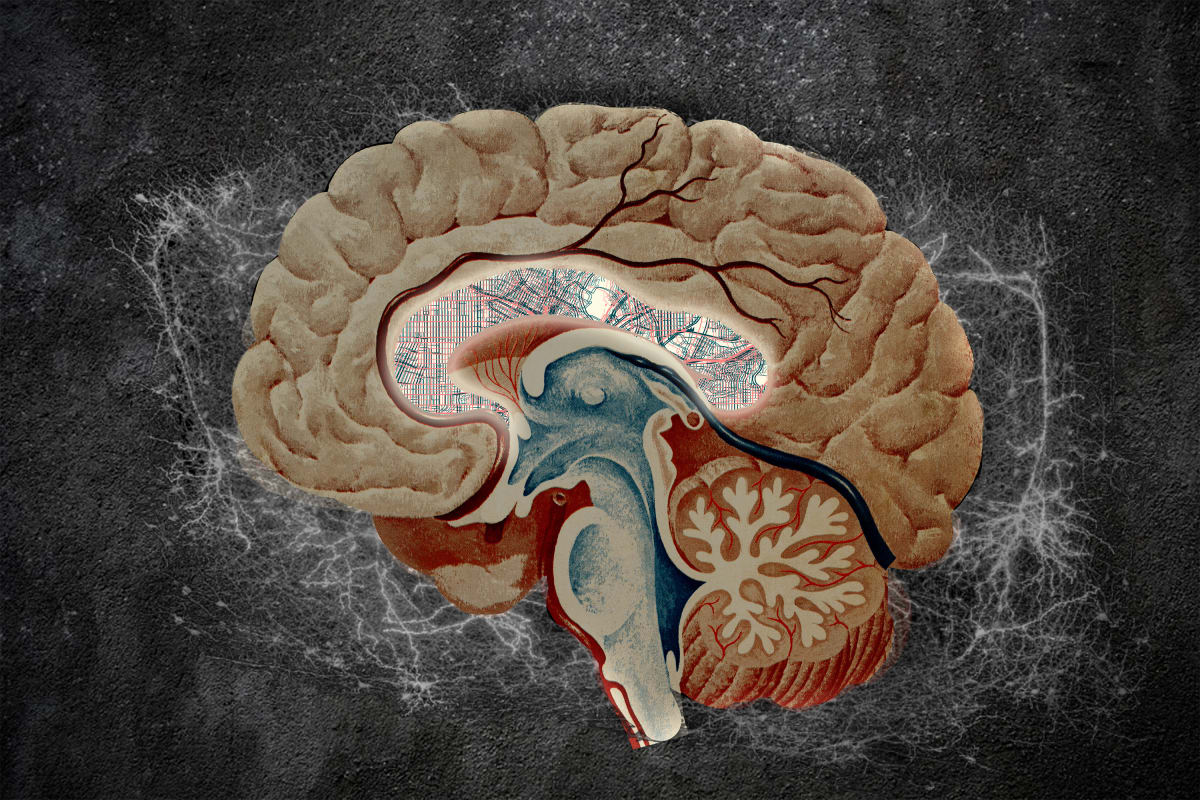 Colorful digital illustration showing detailed mapping of neurons in the brain's striatum region