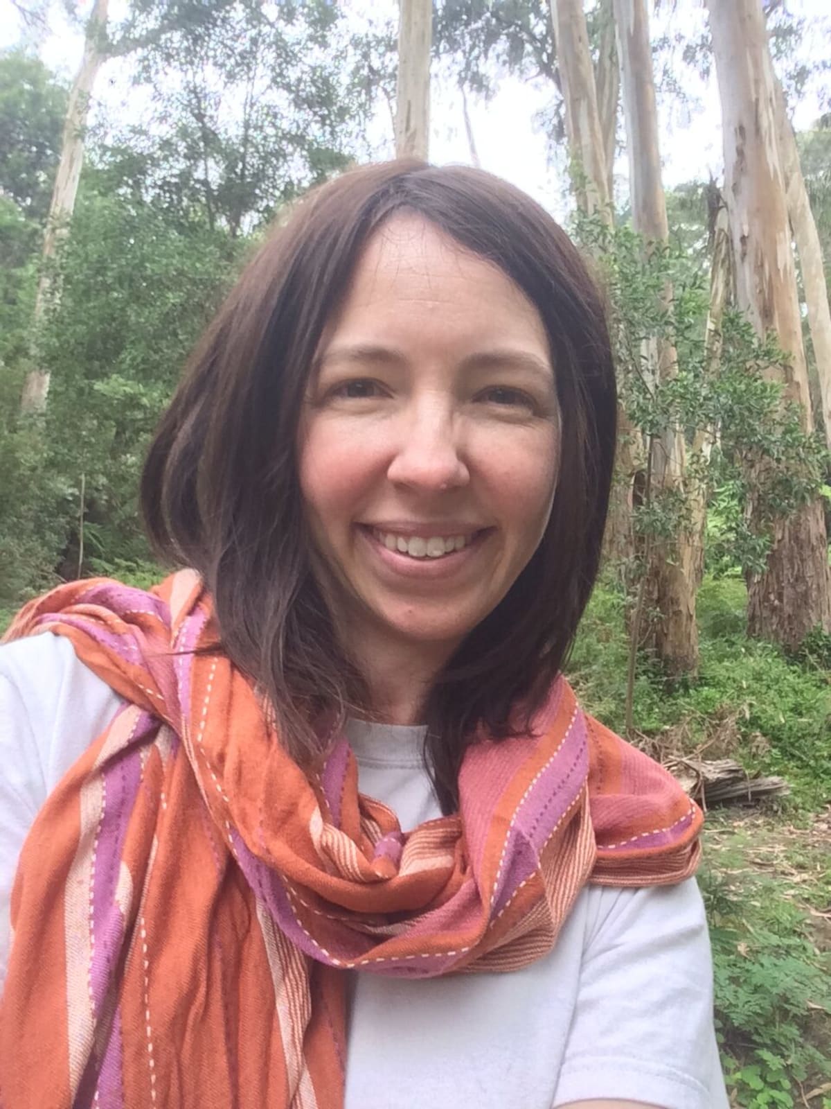 Flying Foxes Worth $668M to Australia's Timber Industry - Image 3