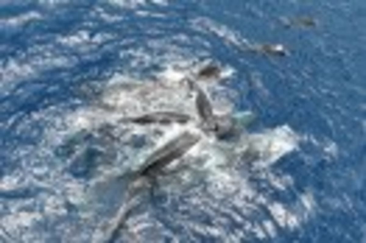 Kids Change Parents' Climate Habits Better Than Reverse - Image 4