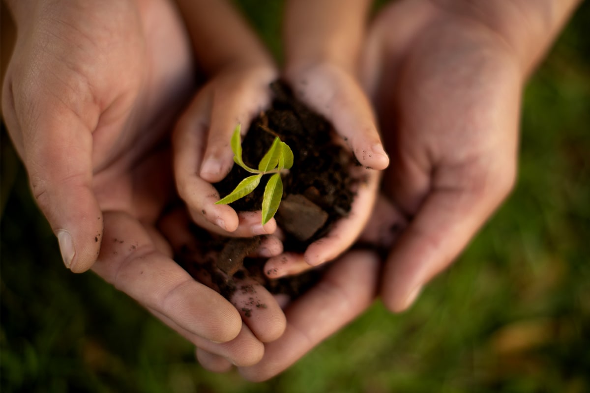 Middle school student and parent discussing environmental topics during interactive home education session in India