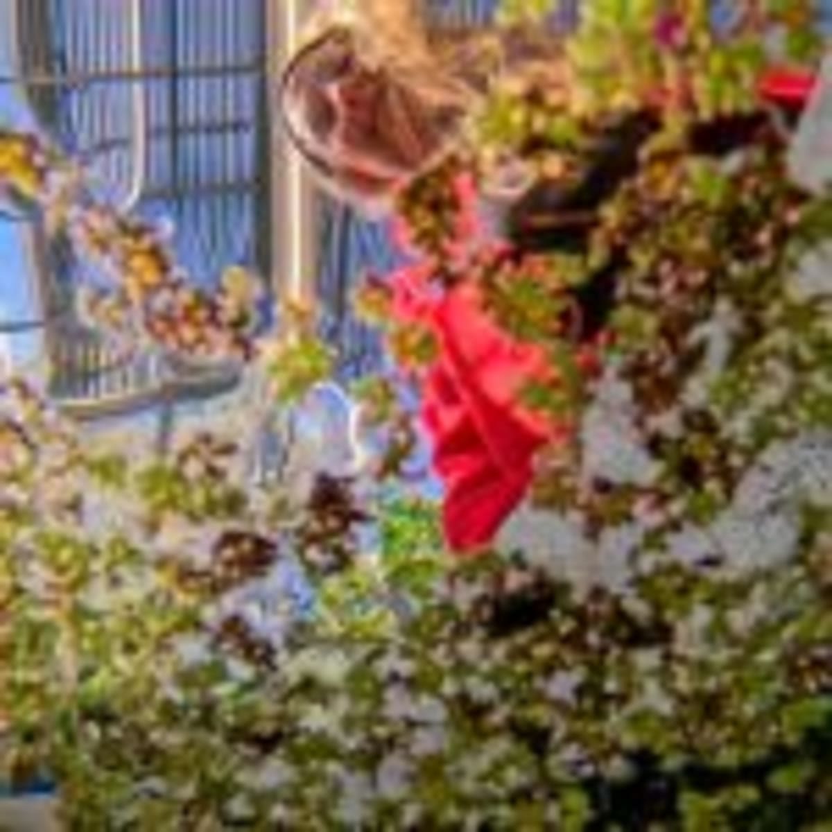 NSF I-Corps Turns Research Into Real-World Solutions - Image 4