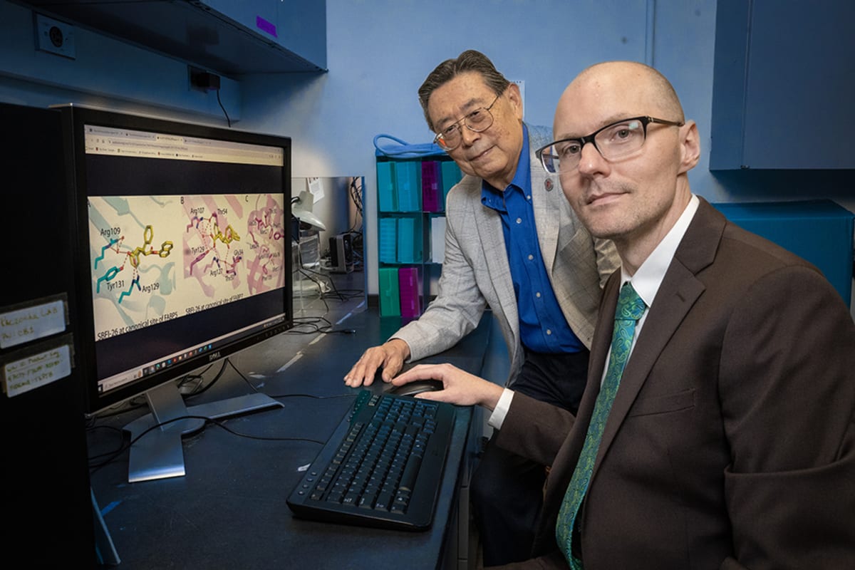 Stony Brook Discovers Non-Opioid Pain Relief Breakthrough - Image 2