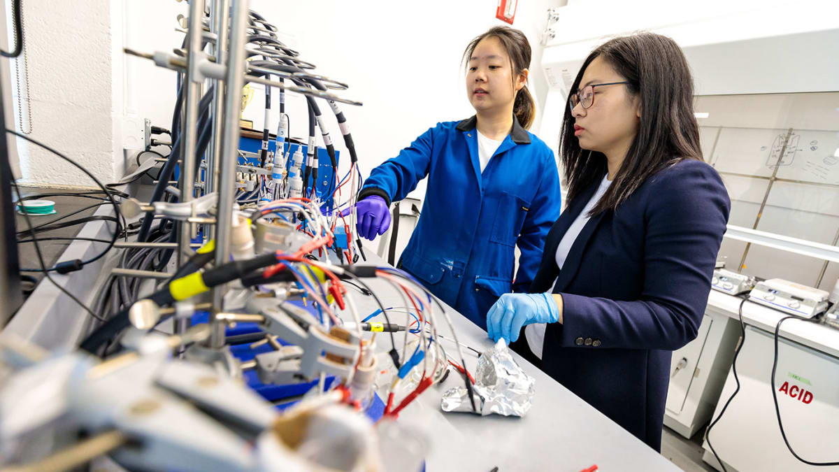 Researcher examining rare earth element samples in laboratory using new water-based purification method