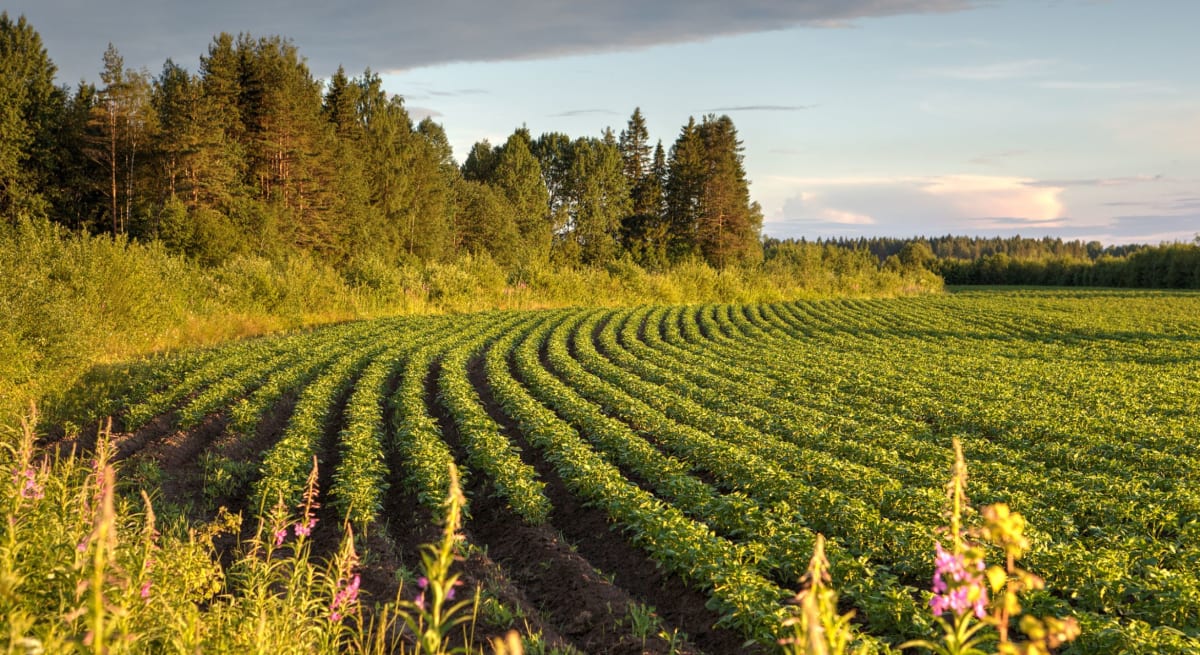 Aerial view of diverse agricultural landscape with forests showing sustainable land management practices