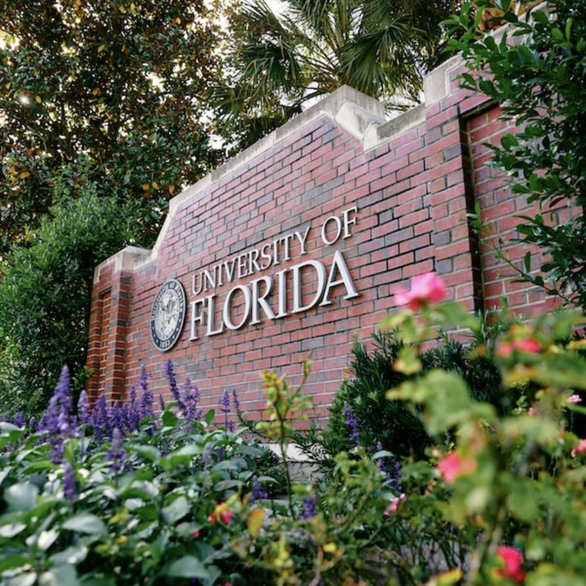 University of Florida campus building representing Hamilton School for Classical and Civic Education's faculty expansion