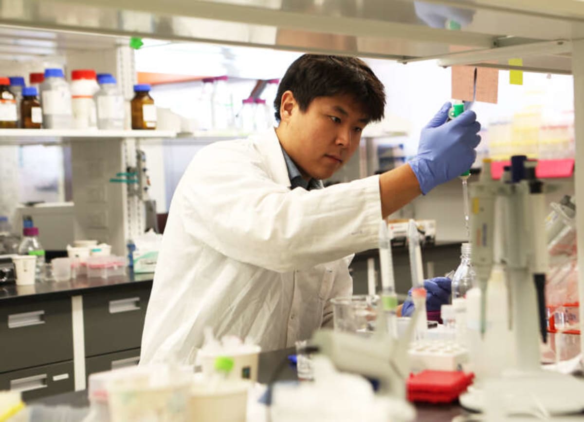 Guelph Grad Heads to Stanford After Cancer Research Wins - Image 2