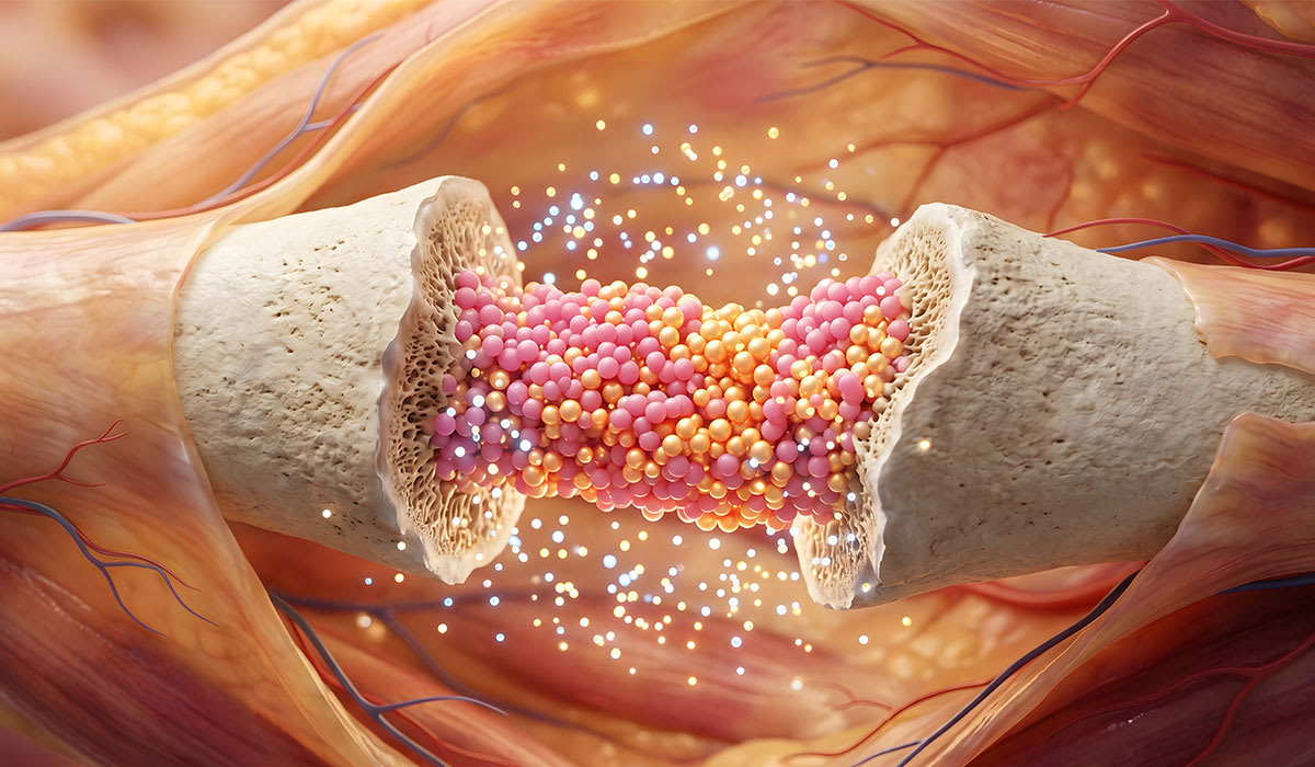 Researchers examining microscopic tissue scaffolds in regenerative medicine laboratory at UT San Antonio