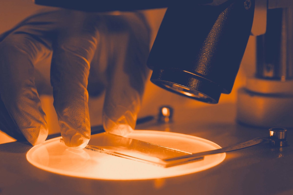 UVA Lab Research Becomes FDA-Approved Leukemia Drug