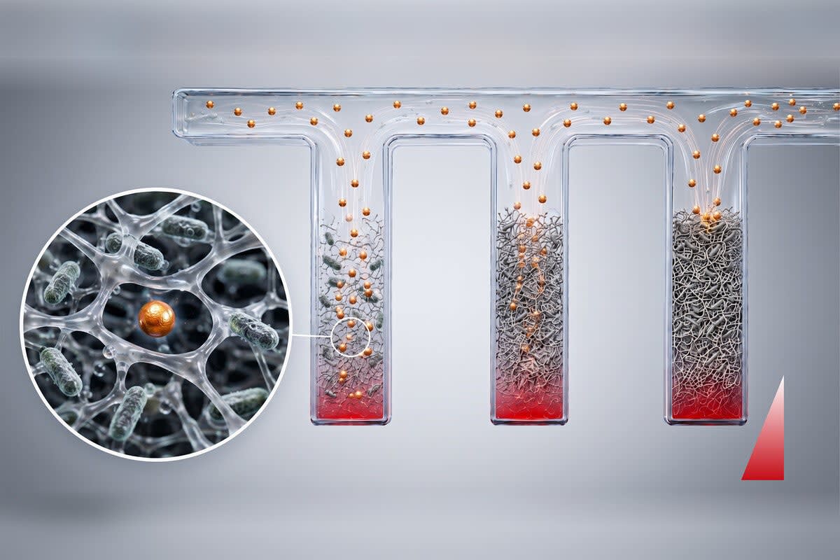 Yale Study Reveals How Ozempic Actually Burns Fat - Image 3