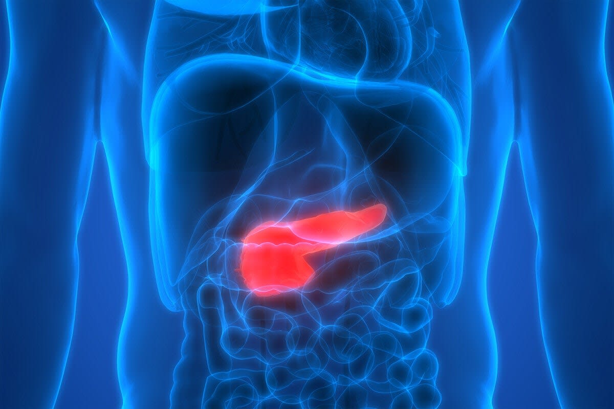 Yale Study Reveals How Ozempic Actually Burns Fat - Image 4