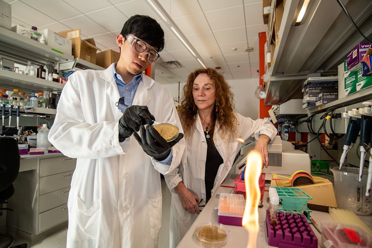 Scientists Reverse Brain Damage in Huntington's Mice