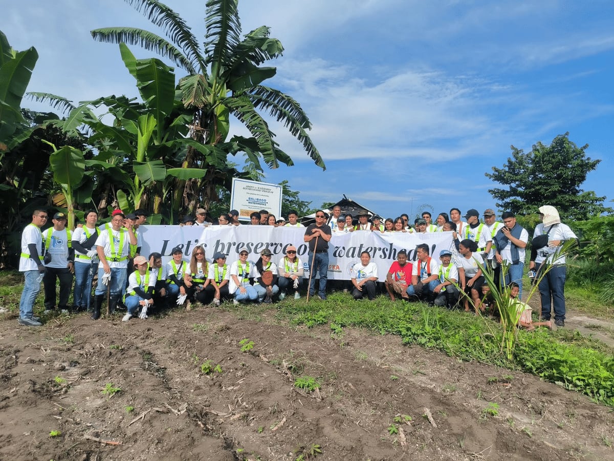 Volunteers planting young tree seedlings on a hillside watershed in Angeles City, Philippines