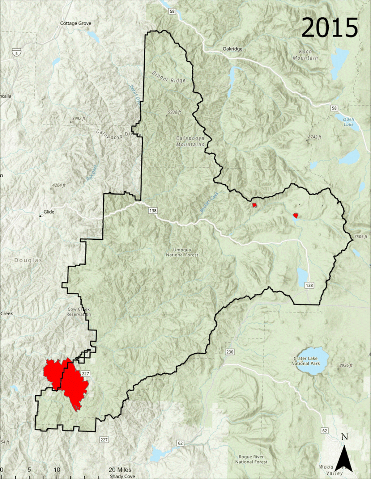 Oregon Replants 230,000 Acres After Wildfires Burn Forest - Image 3