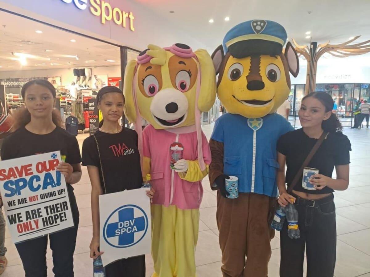 South African Mall Fundraiser Raises $500 for Shelter Pets - Image 3