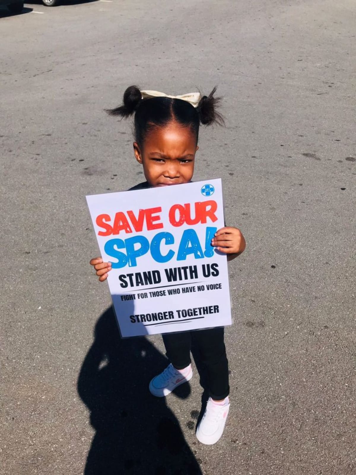 South African Mall Fundraiser Raises $500 for Shelter Pets - Image 2