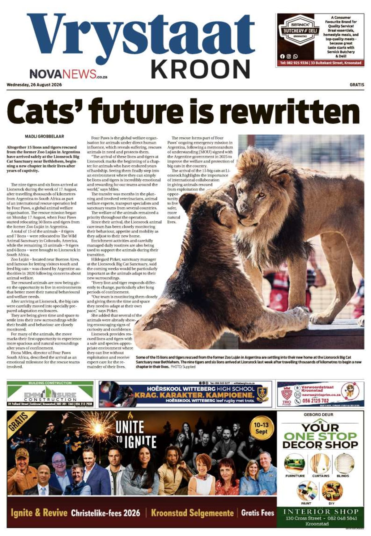 15 Big Cats Get New Life at South African Sanctuary - Image 3