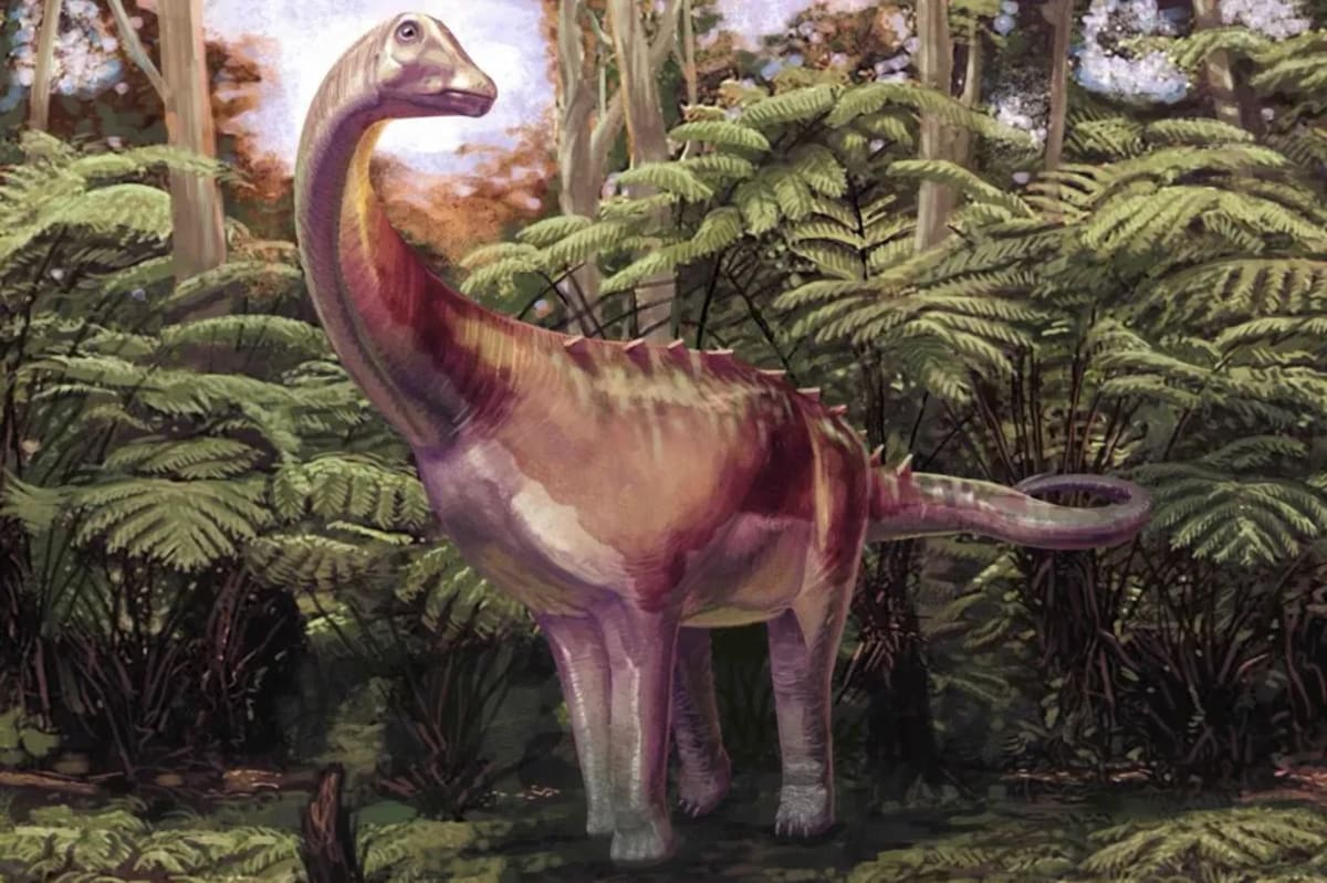 Forgotten Fossil Confirmed as Antarctica's First Dinosaur - Image 4