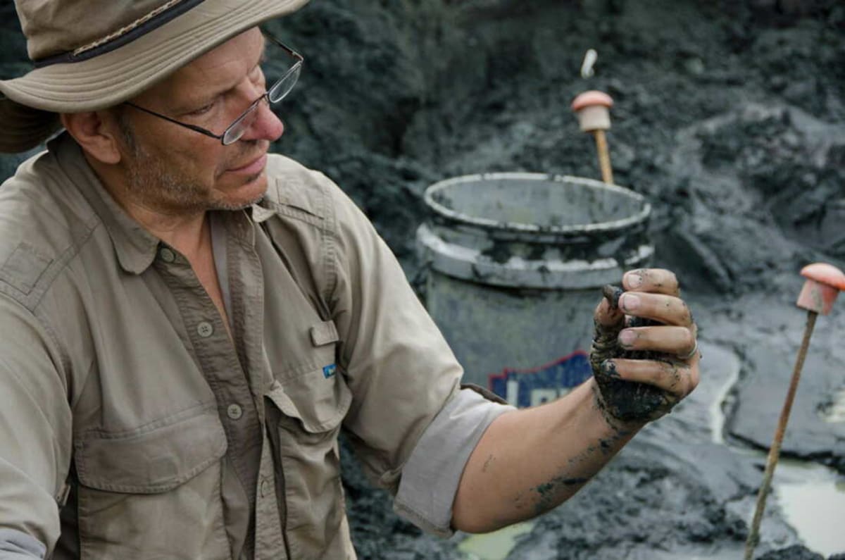 New Jersey Museum Unlocks Day the Dinosaurs Died - Image 4