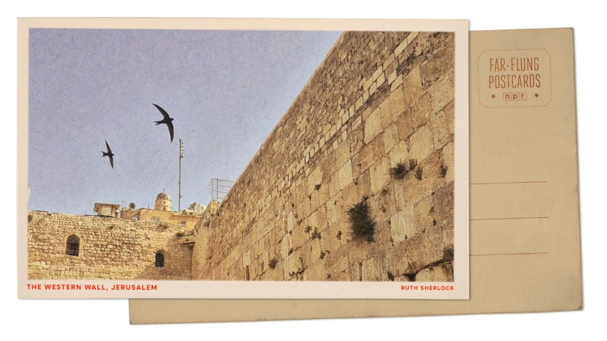 Common swift birds flying near ancient stone walls of Jerusalem's Western Wall historic site