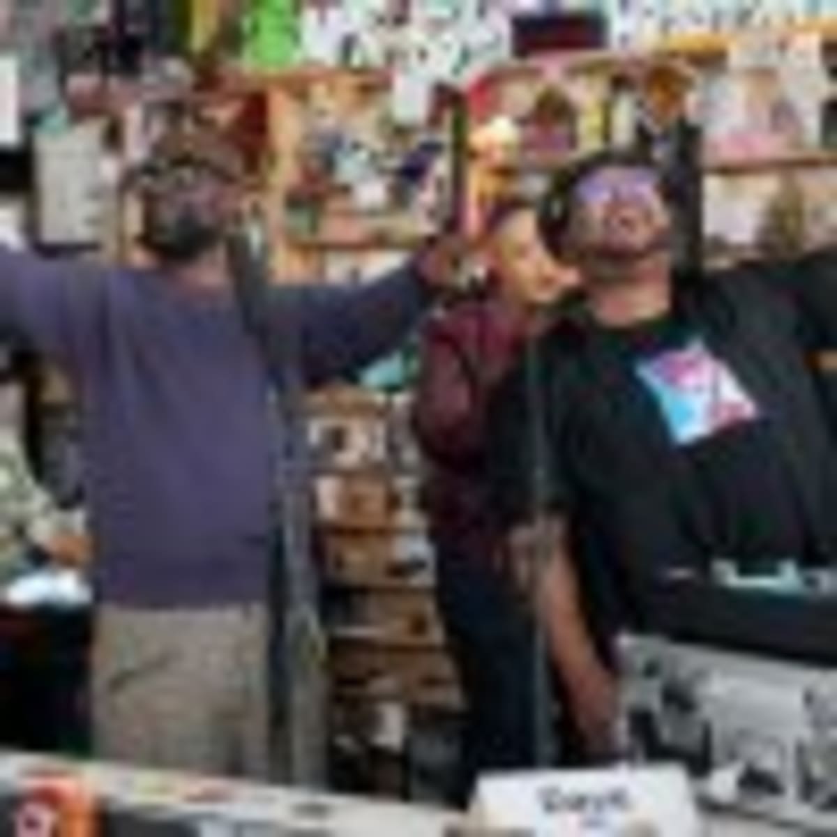 Geese Navigate Thousands of Miles Home Every Spring - Image 5