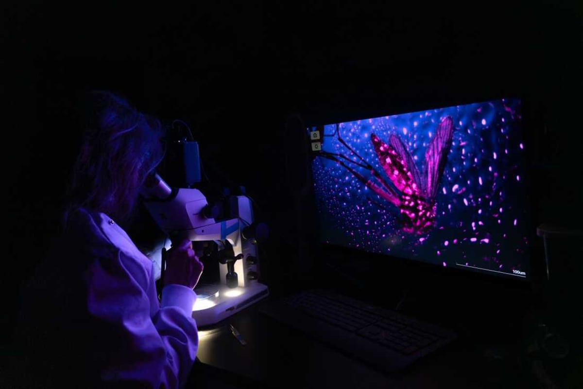 Scientists Win Photography Contest With Stunning Nature Images - Image 4