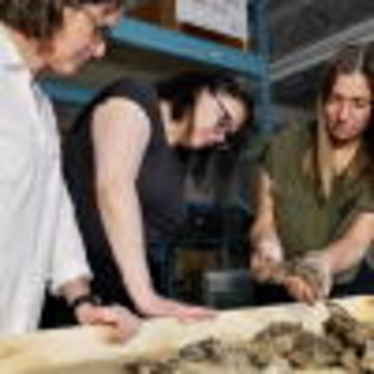 Alaska Villagers Race to Save 500-Year-Old Artifacts - Image 4