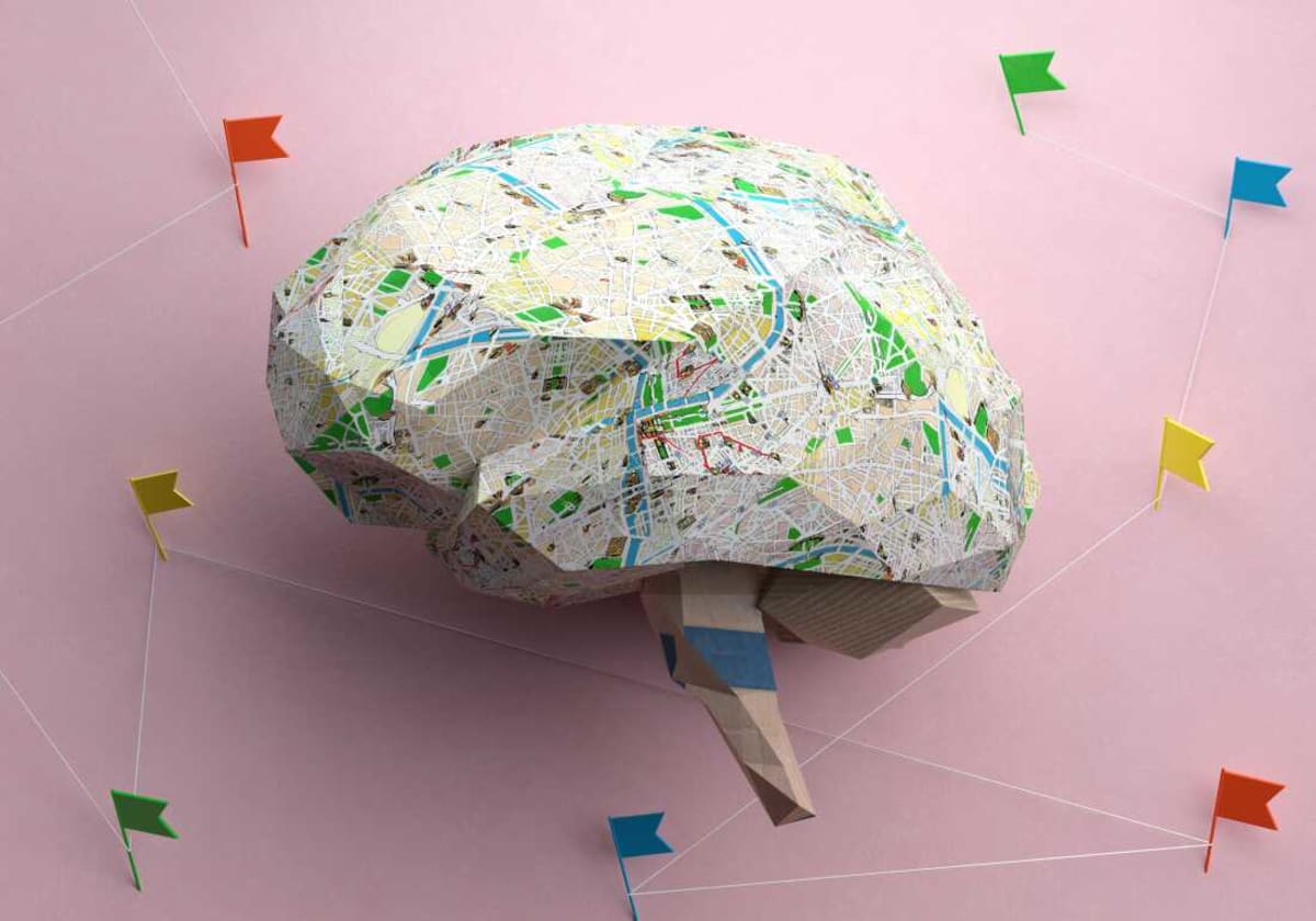 Scientists Find Path to Protect Kids' Developing Brains - Image 4