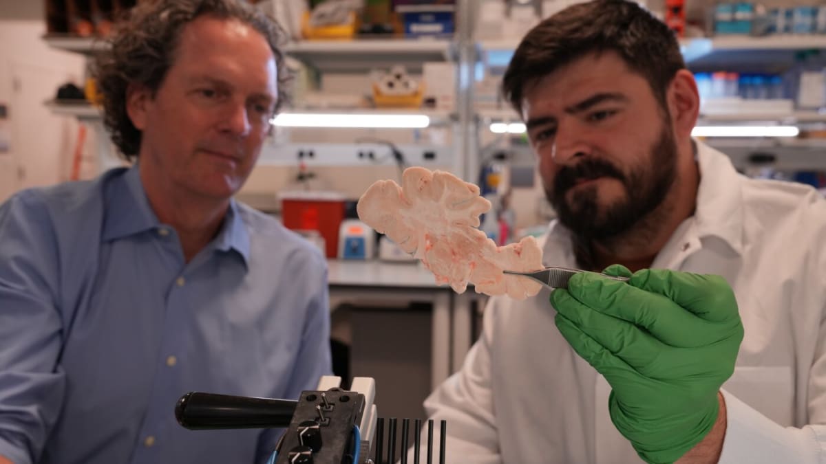 Scientists examining human brain tissue sample in Allen Institute laboratory in Seattle