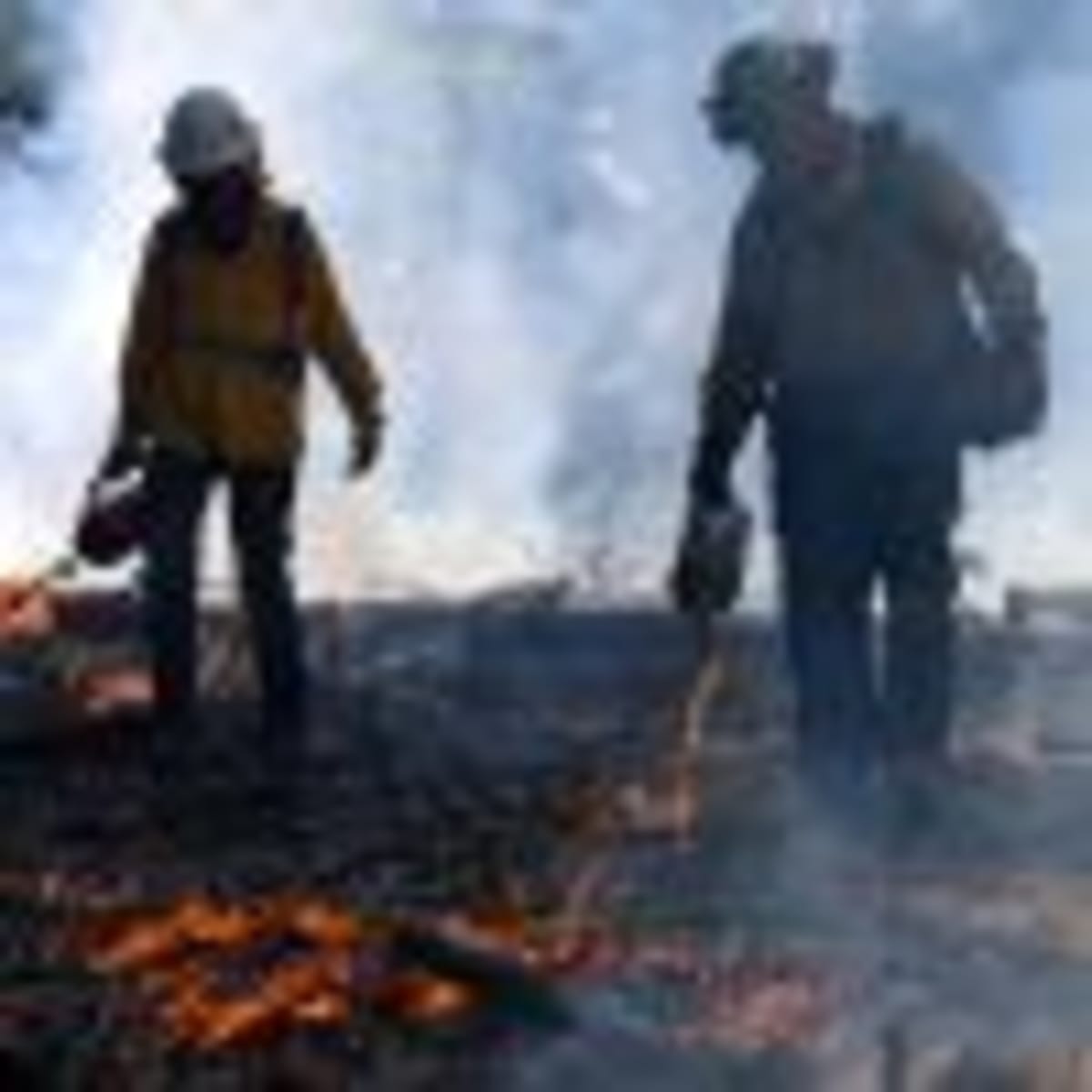 New U.S. Wildland Fire Service Preps for 2026 Season - Image 5